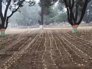 Sarojini Vatika Park