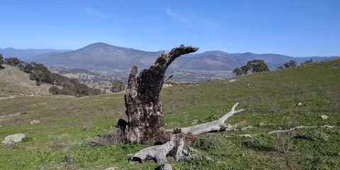 Rob Roy Nature Reserve