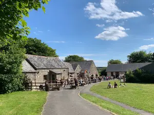 Stowford Farm Meadows