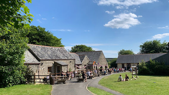 Stowford Farm Meadows