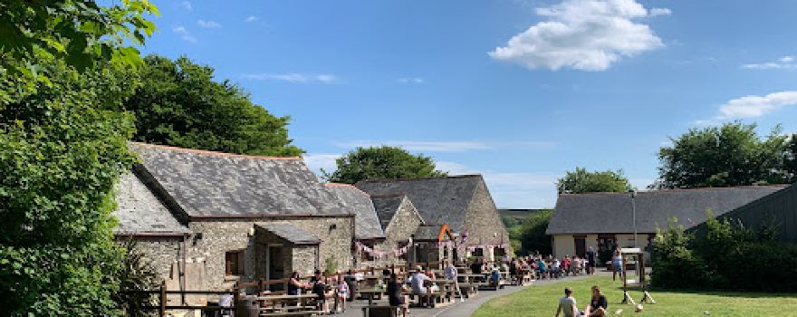 Stowford Farm Meadows