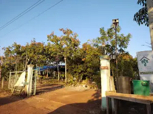 สวนกระบองเพชร PPS garden