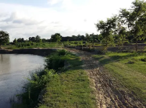 Jame masjid saruatha 9
