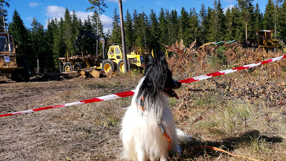 Källhults Bygdegård