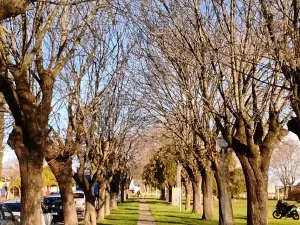 Plaza Principal de Albarellos