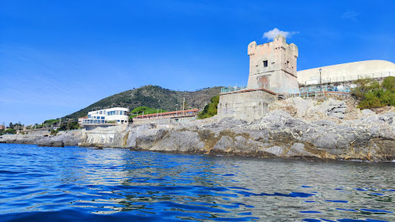 Nervi