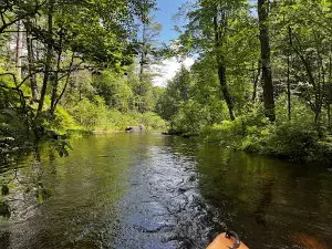 Rollins Pond Campground