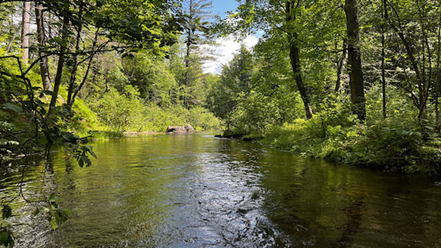 Rollins Pond Campground