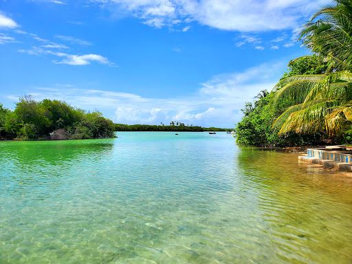 Abu Dhabi to Funadhoo Flights