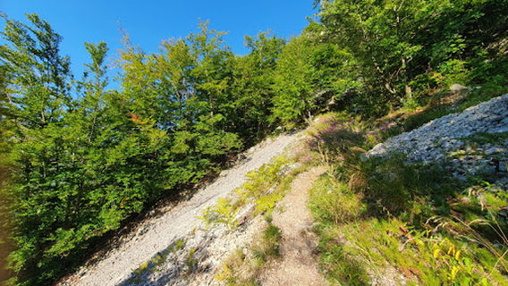 Bavški Grintavec