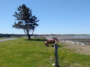 Scallywags Oceanside Campground