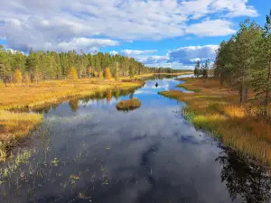 Tiilikkajärvi National Park