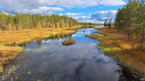 Tiilikkajärvi National Park