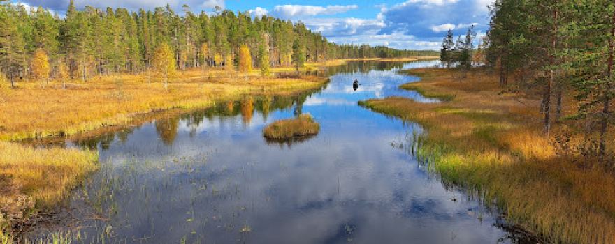 Tiilikkajärvi National Park