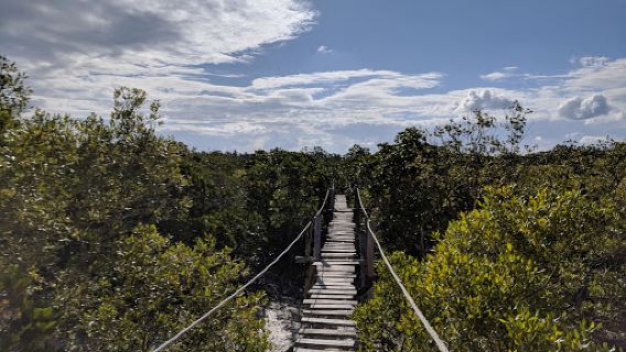 Arabuko Sokoke Forest Reserve