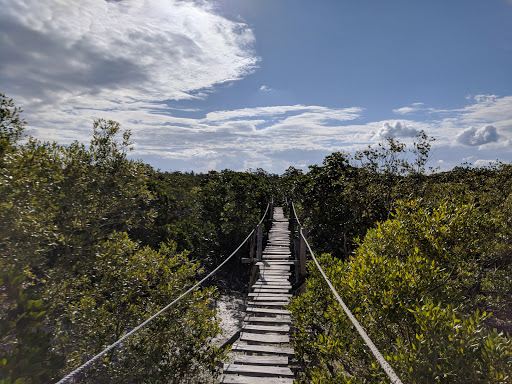Arabuko Sokoke Forest Reserve