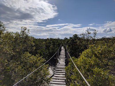 Arabuko Sokoke Forest Reserve
