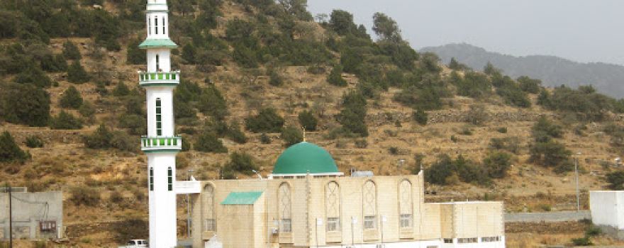 Collector Village Alhnaded