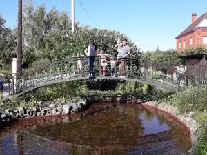Station of young naturalists