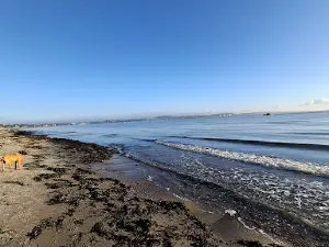 Hundestrand Eckernförde
