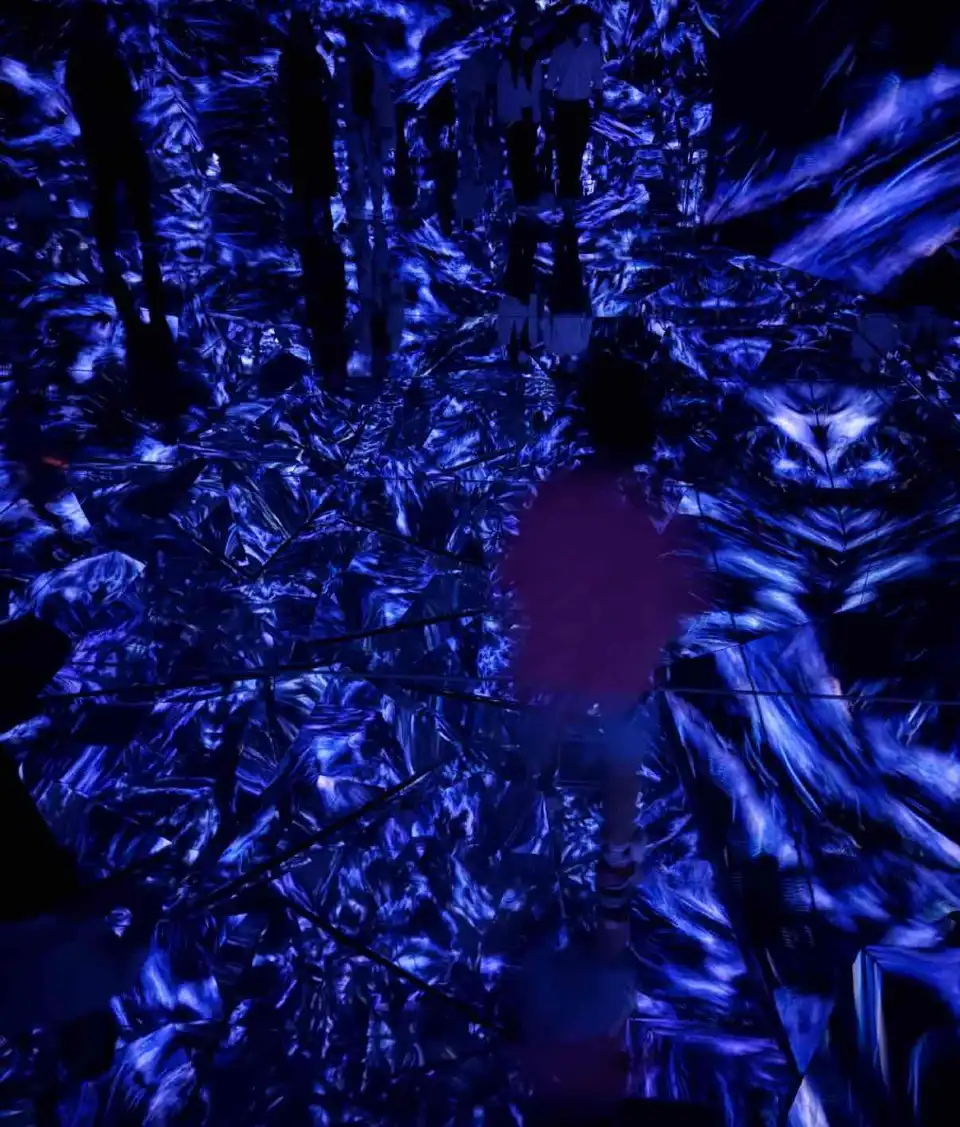 3_teamLab Borderless: MORI Building DIGITAL ART MUSEUM