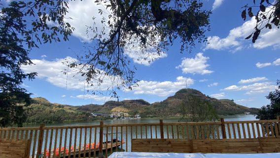 dong tou ye du du jia ying di