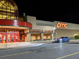 AMC Brick Plaza 10