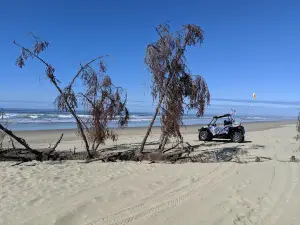 Thousand Trails South Jetty
