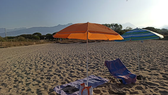 Oasi WWF Dune di Forte dei Marmi
