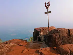 Mahora siddh baba