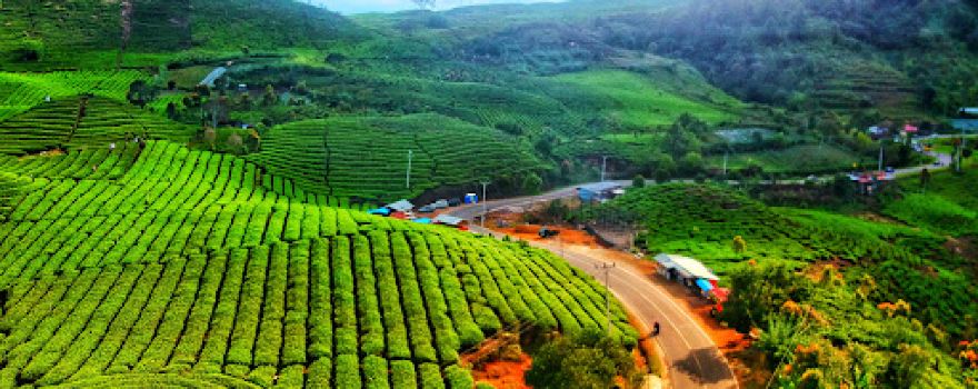 Kebun Teh Danau Kembar