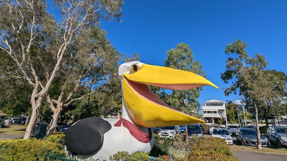 The Big Pelican