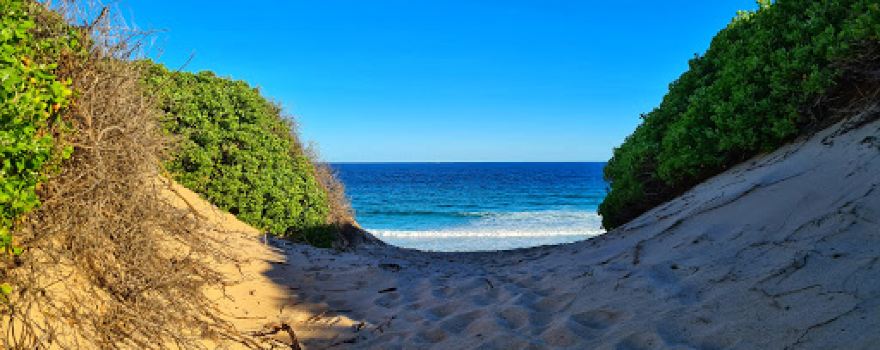 Tuggerah Beach