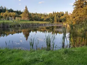 Willows RV Park & Campground