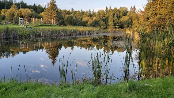 Willows RV Park & Campground