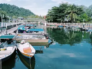 Tioman Dadini Snorkeling