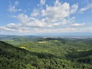 Sataplia Nature Reserve