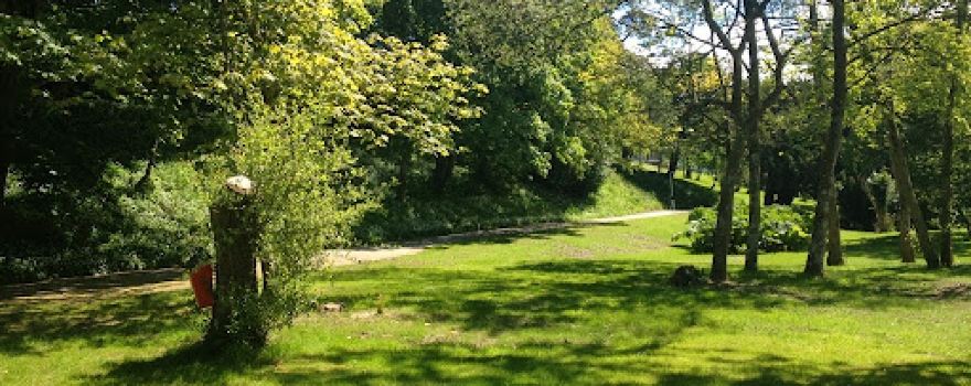 Llwyngwair Manor Holiday Park