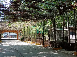 Racso's Woodland Resort