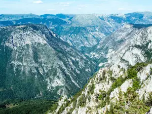 Ćurevac
