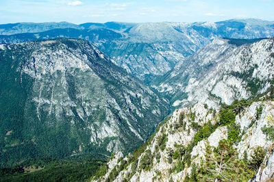 Ćurevac