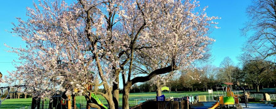 Grange Park