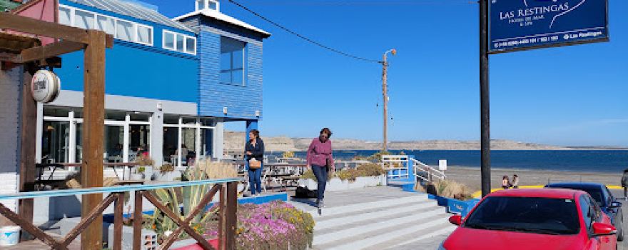 Bottazzi Whale Watching / Whale Watch