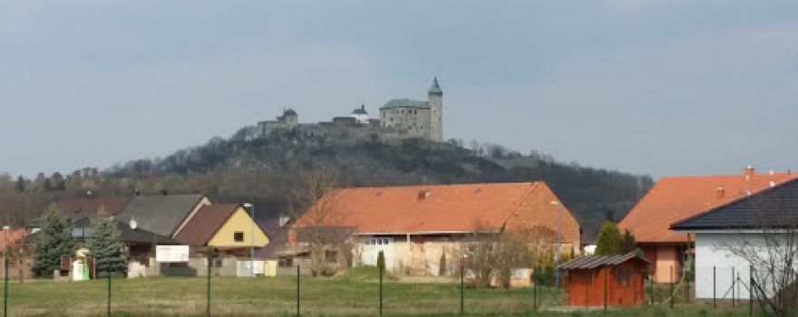 Synek Milan - Zahradnictví