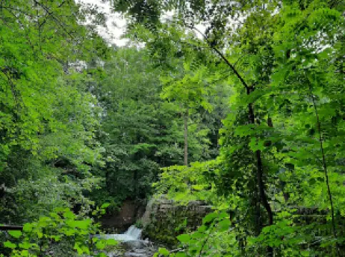 Charlie C. Major Nature Trail