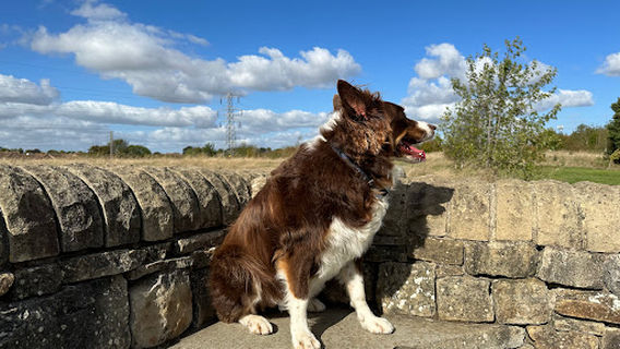 Mareham Pastures Local Nature Reserve