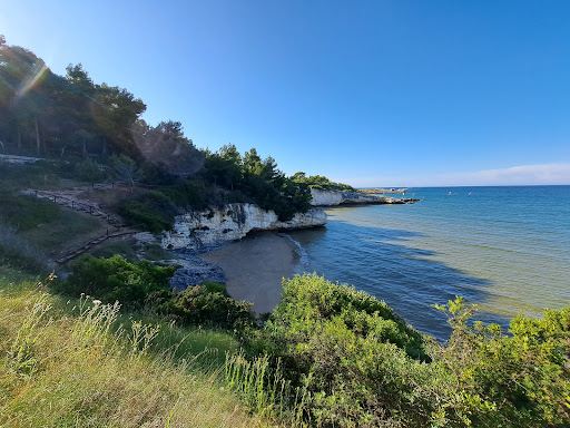 Camping Village Punta Lunga