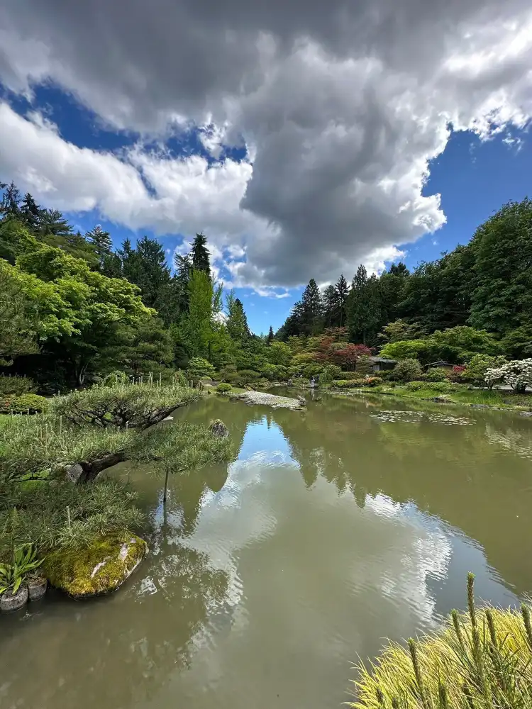 Các khách sạn gần Washington Park Arboretum