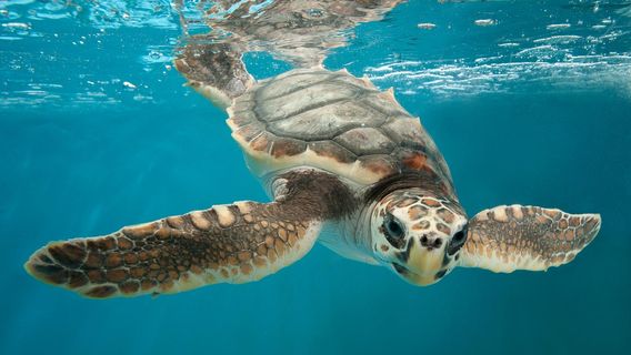 Pittsburgh Zoo & Aquarium