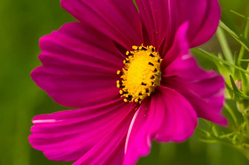 3_Sir Harold Hillier Gardens